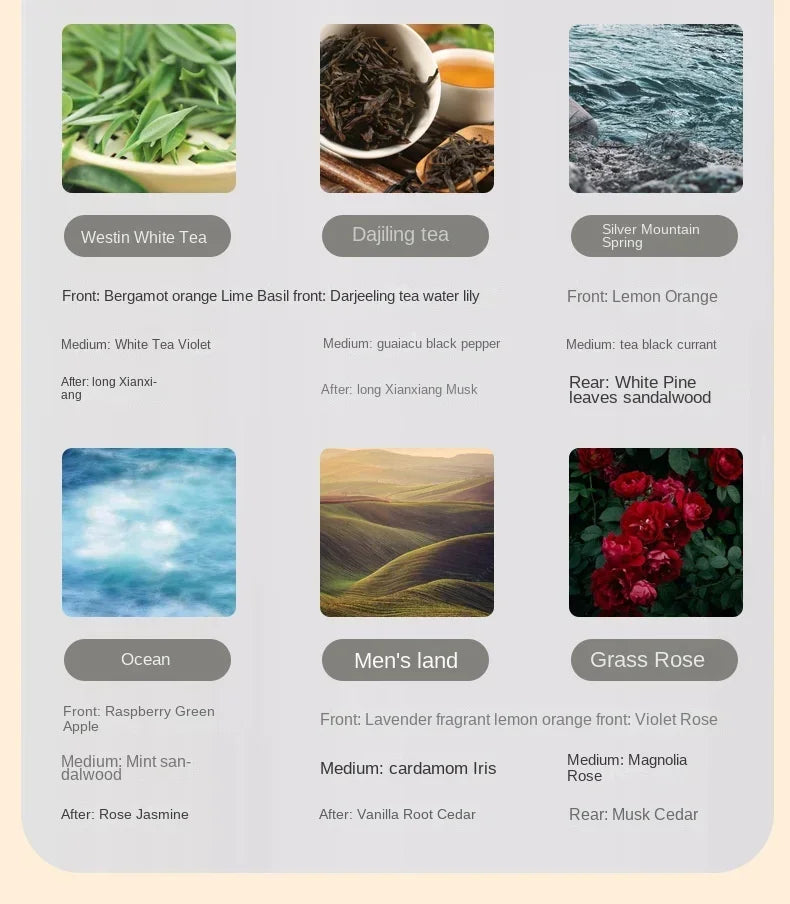 Fragrance Oil for Diffusers 250ml/500ml - Hotel Series Essential Oils