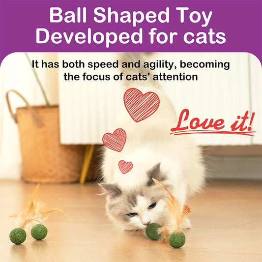 Natural Cat Toy Catnip Feathers - Interactive Dental Care Lollipop for Kittens