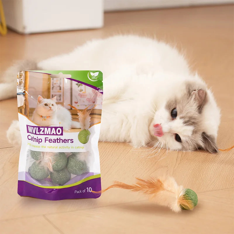 Natural Cat Toy Catnip Feathers - Interactive Dental Care Lollipop for Kittens