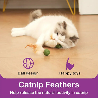 Natural Cat Toy Catnip Feathers - Interactive Dental Care Lollipop for Kittens