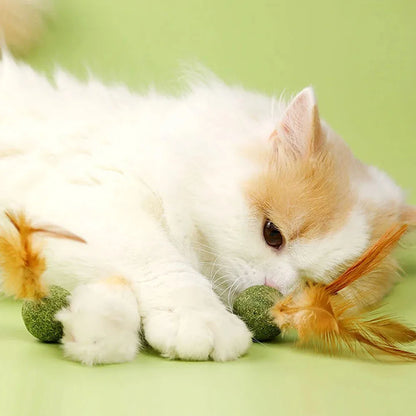 Natural Cat Toy Catnip Feathers - Interactive Dental Care Lollipop for Kittens