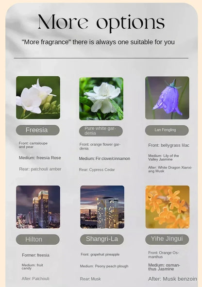 Fragrance Oil for Diffusers 250ml/500ml - Hotel Series Essential Oils