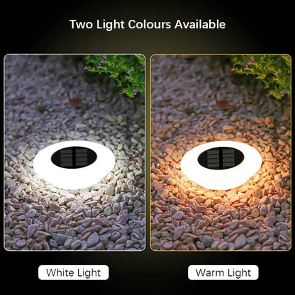 LED Solar Outdoor Lights Waterproof 360° Adjustable Landscape Light Garden Decoration Fence Stake Lawn Porch Walkway 1~8PCs