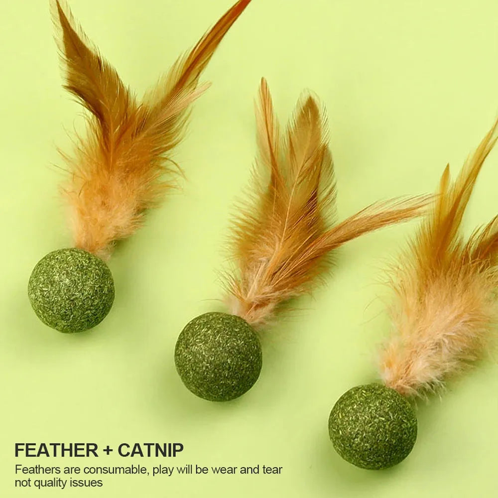 Natural Cat Toy Catnip Feathers - Interactive Dental Care Lollipop for Kittens