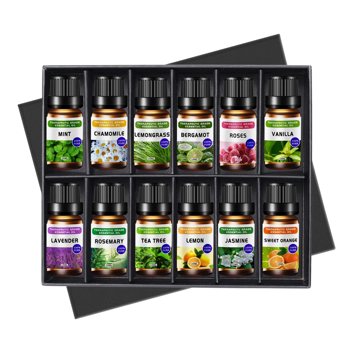 Essential Oil Set 10ml - Aromatherapy Massage & Candle Making Kit