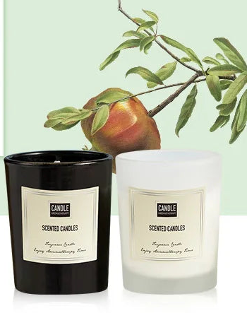 Aromatherapy Candle - Modern European Plant Scent Air Purifying