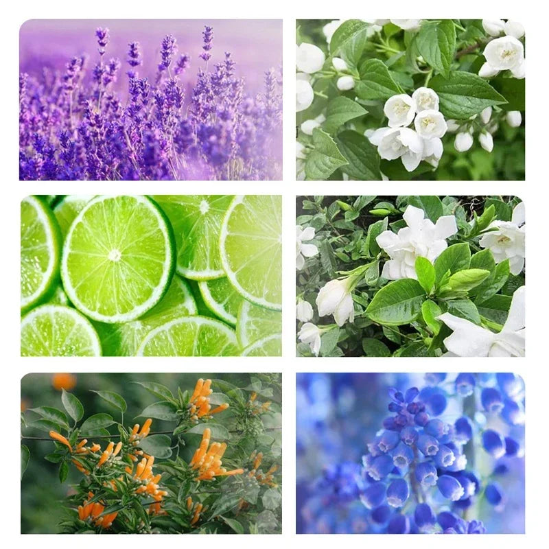 Smart Auto Aroma Diffuser - Wall Mount Air Freshener Purifier