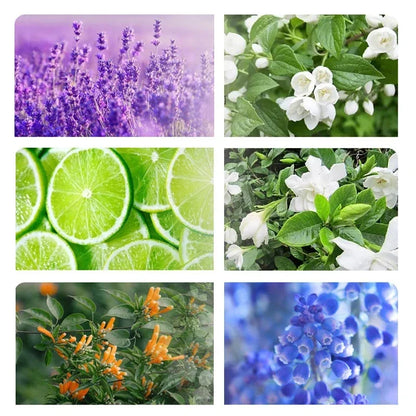 Smart Auto Aroma Diffuser - Wall Mount Air Freshener Purifier