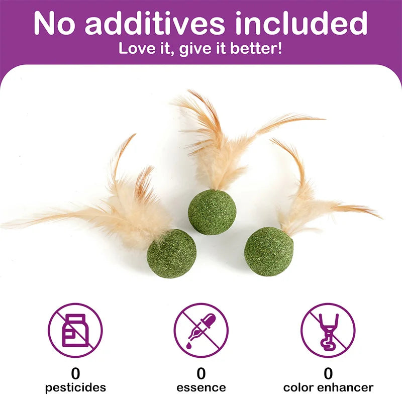 Natural Cat Toy Catnip Feathers - Interactive Dental Care Lollipop for Kittens