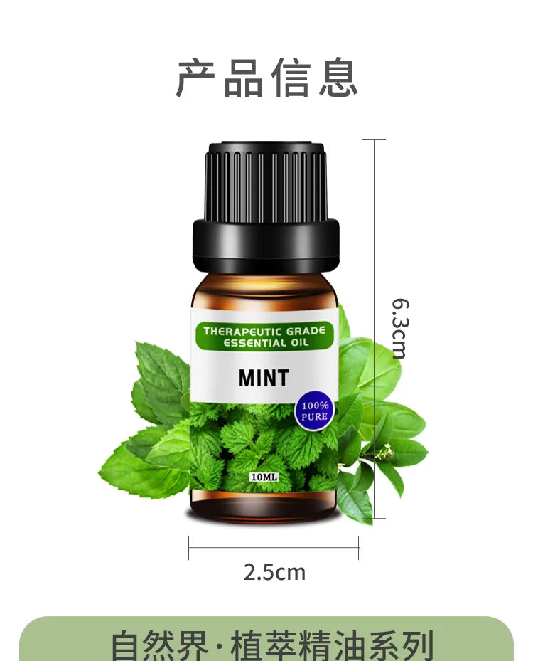 Essential Oil Set 10ml - Aromatherapy Massage & Candle Making Kit