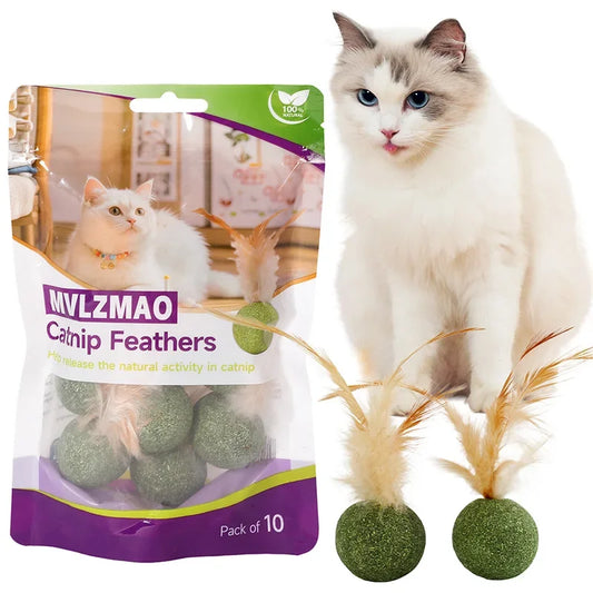 Natural Cat Toy Catnip Feathers - Interactive Dental Care Lollipop for Kittens
