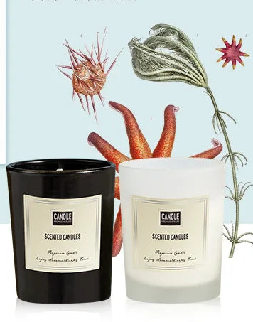 Aromatherapy Candle - Modern European Plant Scent Air Purifying