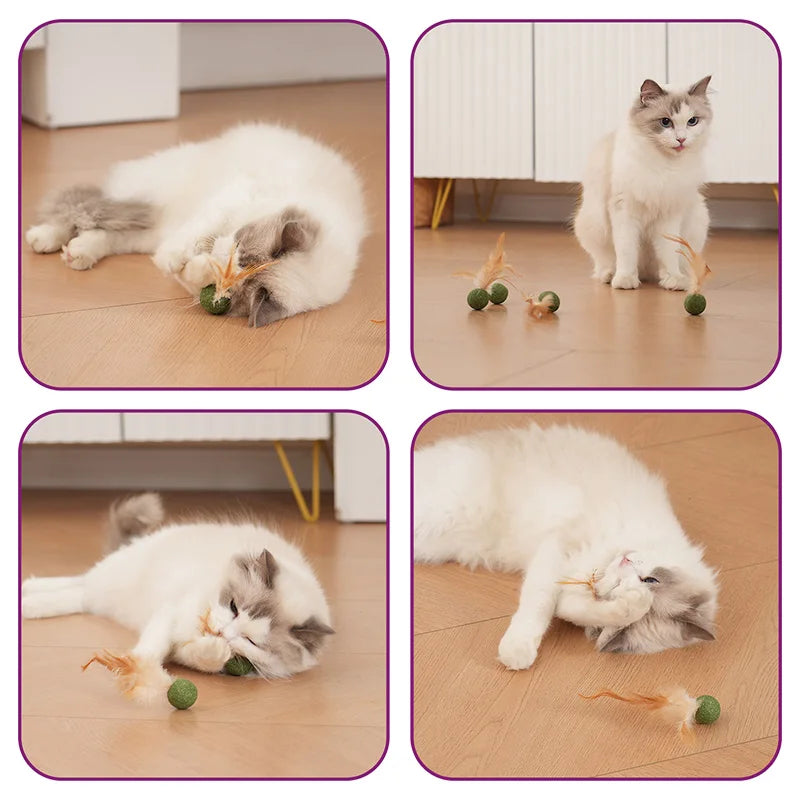 Natural Cat Toy Catnip Feathers - Interactive Dental Care Lollipop for Kittens