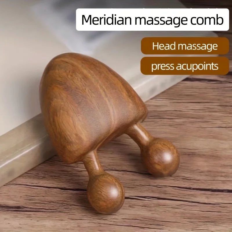 Sandalwood Face Massager - Snail Shape Meridian Massage Tool