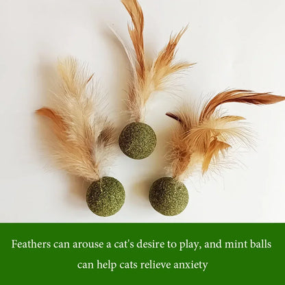 Natural Cat Toy Catnip Feathers - Interactive Dental Care Lollipop for Kittens
