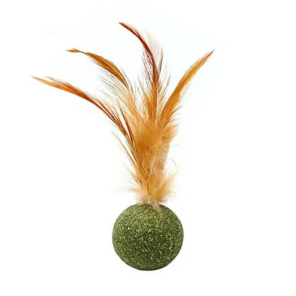 Natural Cat Toy Catnip Feathers - Interactive Dental Care Lollipop for Kittens