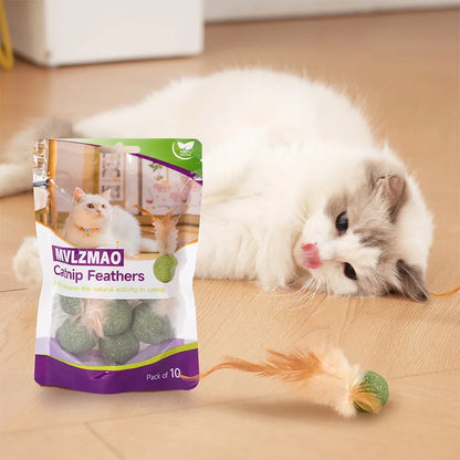Natural Cat Toy Catnip Feathers - Interactive Dental Care Lollipop for Kittens