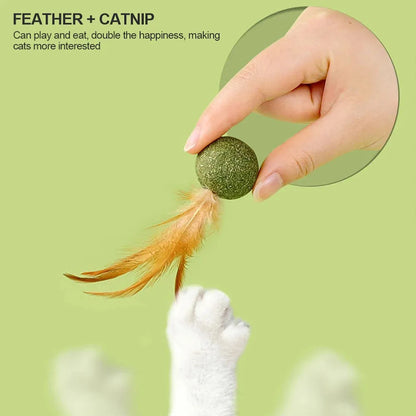 Natural Cat Toy Catnip Feathers - Interactive Dental Care Lollipop for Kittens