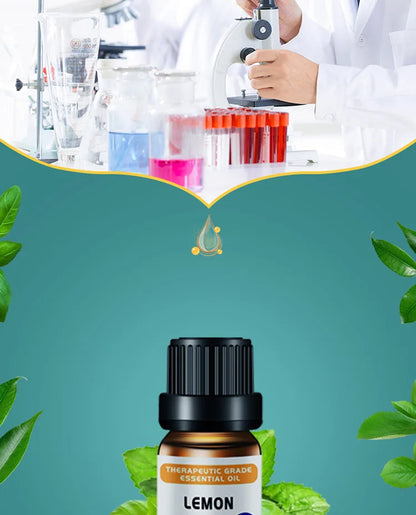 Essential Oil Set 10ml - Aromatherapy Massage & Candle Making Kit