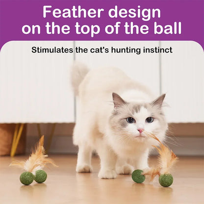 Natural Cat Toy Catnip Feathers - Interactive Dental Care Lollipop for Kittens