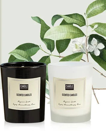 Aromatherapy Candle - Modern European Plant Scent Air Purifying