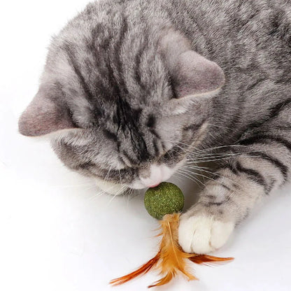 Natural Cat Toy Catnip Feathers - Interactive Dental Care Lollipop for Kittens